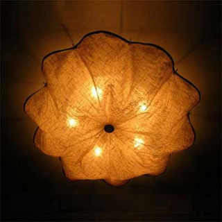 �����FLOS�L��F����