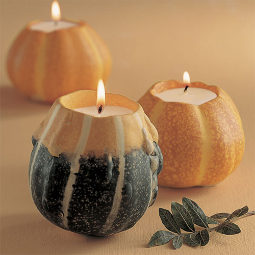 �fʥ��(ji��)�Ɍ�(du��)����ȱ�ٵ���Ʒ