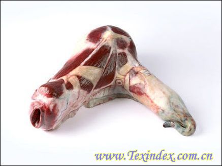 �i�����ļҾ���Ʒ����ã�