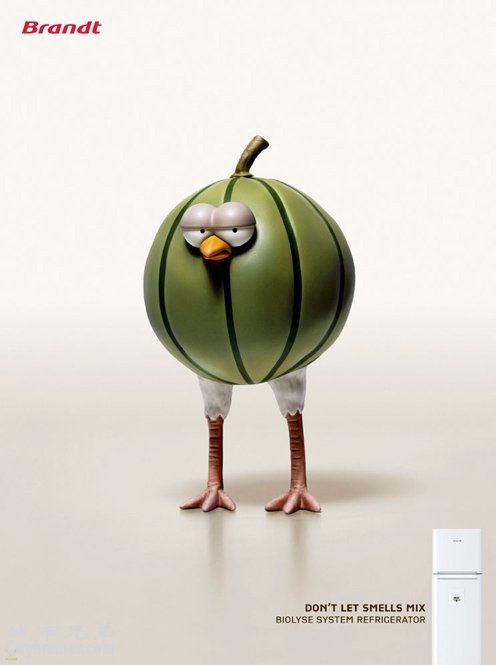 ����y�v���o�������̥