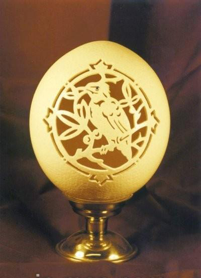 �u������̳��ľ��Ҽ�Ʒ