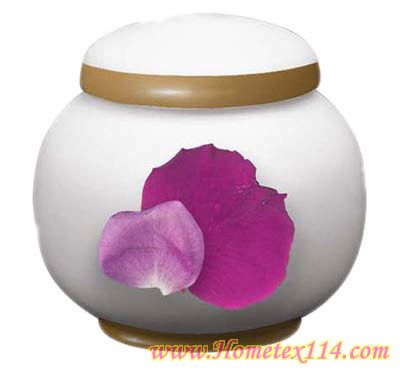 �����һ��t�����Ĳ;�������