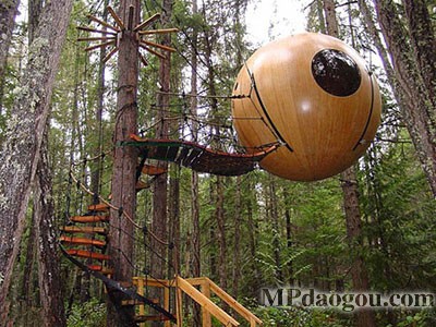 ������˼��(chu��ng)�����w�Ƅ�(d��ng)����