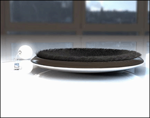 �������_�Ą���Ҿ���Ʒ