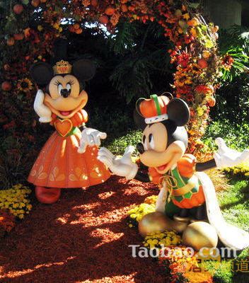 �����е�����o̎����