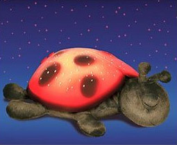 ����ɐ۵İl�������