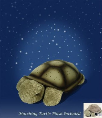 ����ɐ۵İl�������