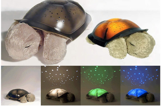 ����ɐ۵İl�������