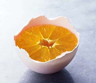 �õ������������Ҿ��Ʒ