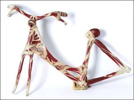 �вţ��i�����ļҾ���Ʒ