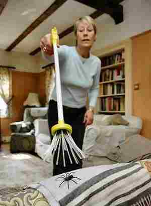 Ԏ����ʮ��(chu��ng)��Ҿ�