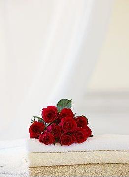 Сë���д�W(xu��)�����㲻�ò�֪