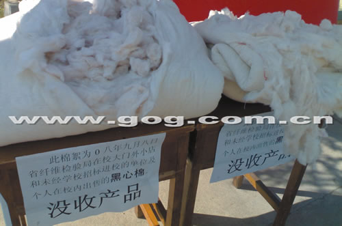 ���˶Ž^������ �WУӲҪ�I�������ס���