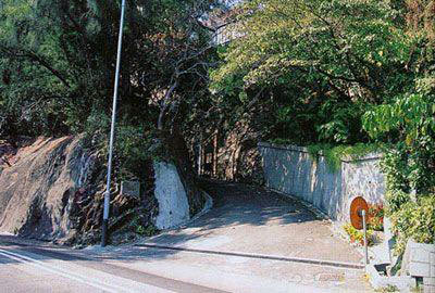 香港十大豪宅李嘉誠兒子排第二