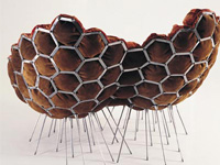 �����ɳ�l��đ������