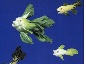 Ω��ΩФ�Ą����߲�����