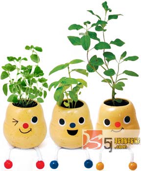 ����N��С�Ʒ�o������c�ϣ�һ��