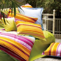 ��˹����