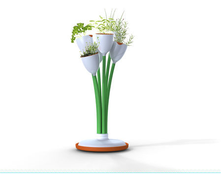 ���o����ѻ��N�ڡ�������