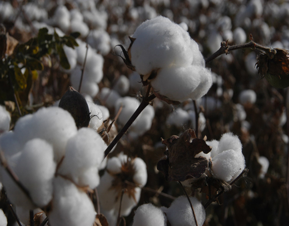 ���K�������ޡ����a(ch��n)�C�c(di��n)���