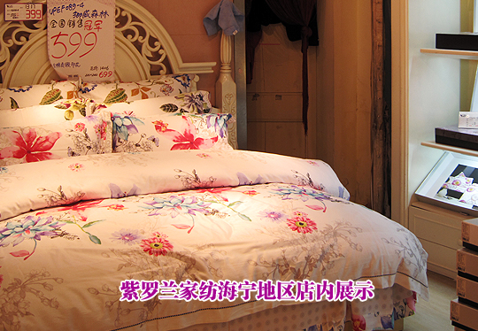 �ǻ۵��������_�m���