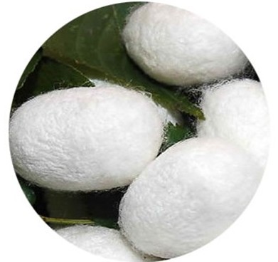 3��15����Ҽ����Є� �b�e�Q�z��