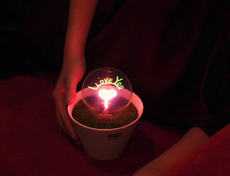 �����c�������Ի���Сҹ��