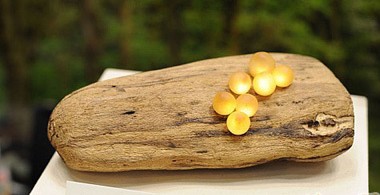 ��(chu��ng)��LED����(sh��)���ϵ�СĢ��