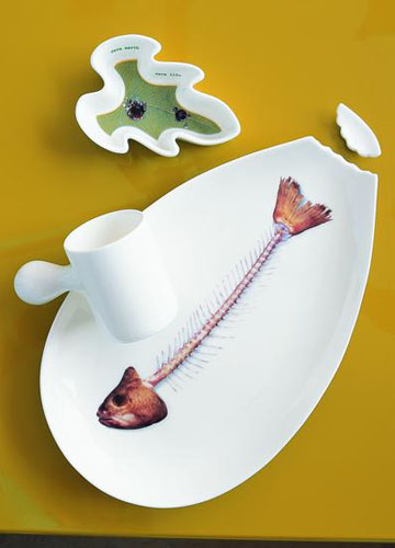 �ɐ۵Ŀ�ͨ�Ҿ��b�