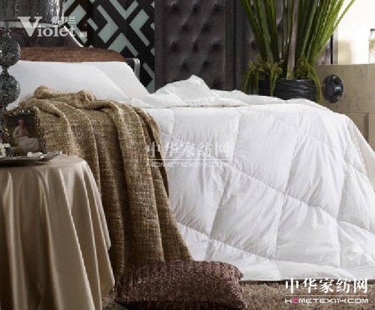 被紫羅蘭呵護(hù)過(guò)的夏天