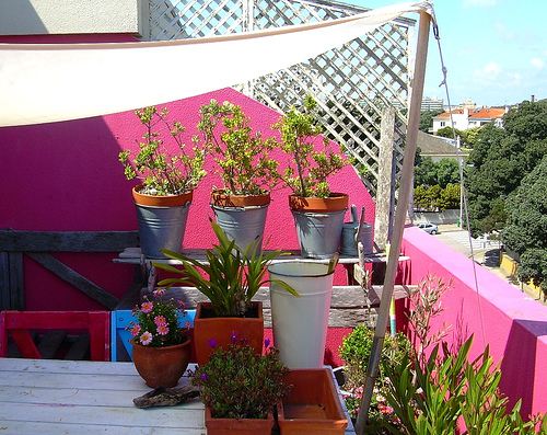 ���(sh��)�(y��n):ɫ���L(f��ng)���đ���֮��(��)