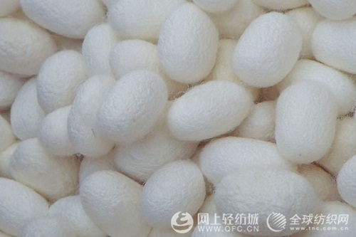 �Ĵ��Qɣ�z�I�a�I�lչҎ��ͨ�^�����u��