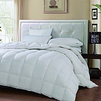 �Ƶ����Z�q��