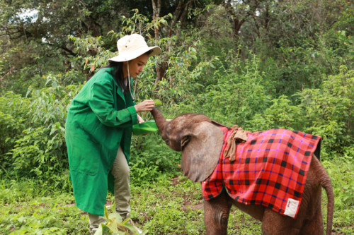 ���������"׃��"�����h�����J�B����