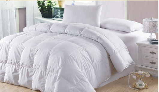 家紡保養(yǎng)經(jīng) 羽絨被巧保養(yǎng)