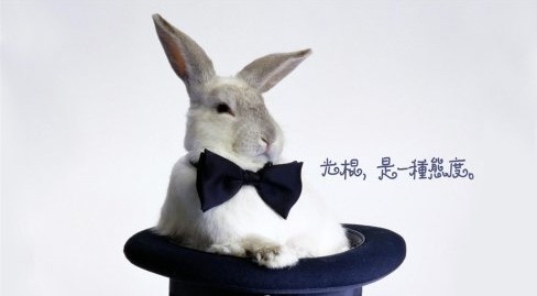 大數據電商:馬云的“雙11”光棍節實驗