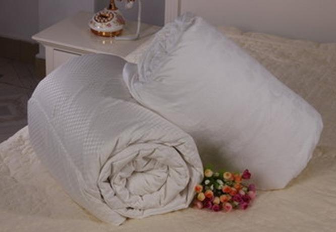 �����Q�z�����ע�����