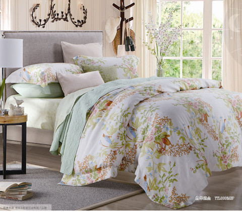 ҹ�������w���������