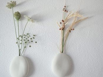 �Gɫֲ���b�c����