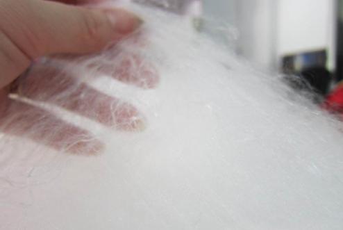 長春質量監測抽查中蠶絲被八成不合格