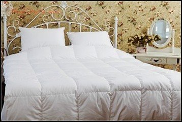 ��ӛ6�c(di��n)�p���xُ��q��