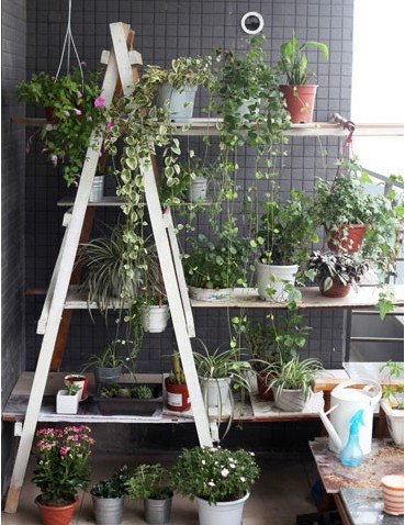 �����f��ͳɱ����삀���¿��g��2��