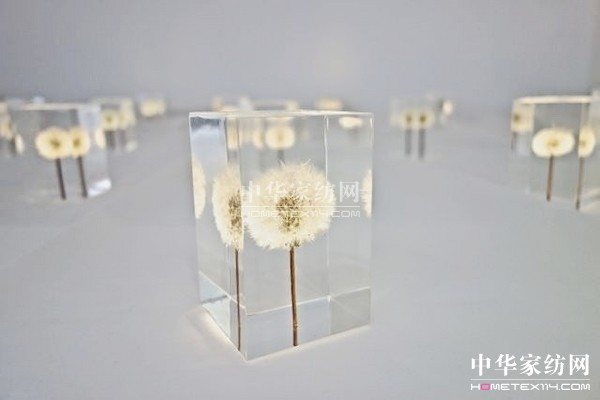 晶瑩剔透的蒲公英冰塊燈