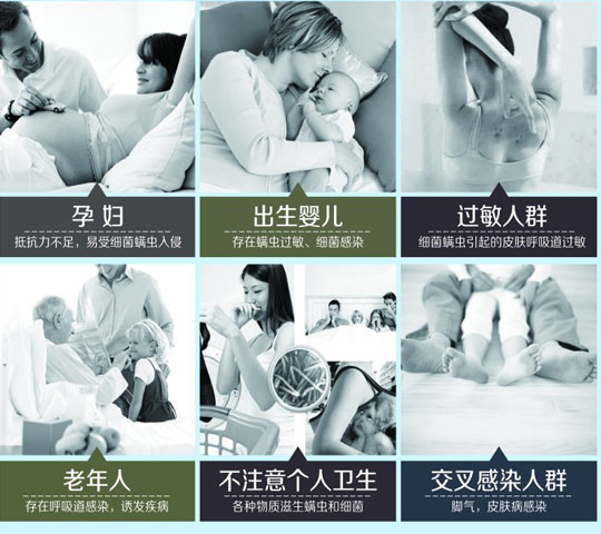 消除蟲螨 維護健康睡眠微環境