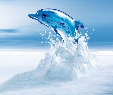 ���Ƶ����I(y��ng)�N����