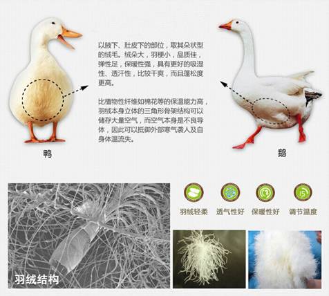 �W�ɼҼ����������u(m��i)�������xُ(g��u)��Ʒ����q��