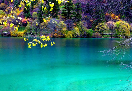 �Ї�(gu��)�Ҽ��f(xi��)��(hu��)���Ĵ������{(di��o)��