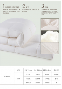 棉花被購買攻略