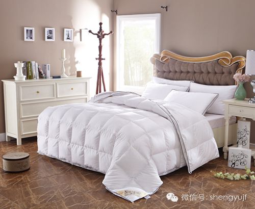 盛宇家紡秋冬新品“被你所愛”被芯系列