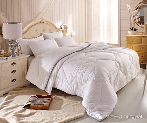 盛宇家紡秋冬新品“被你所愛”被芯系列